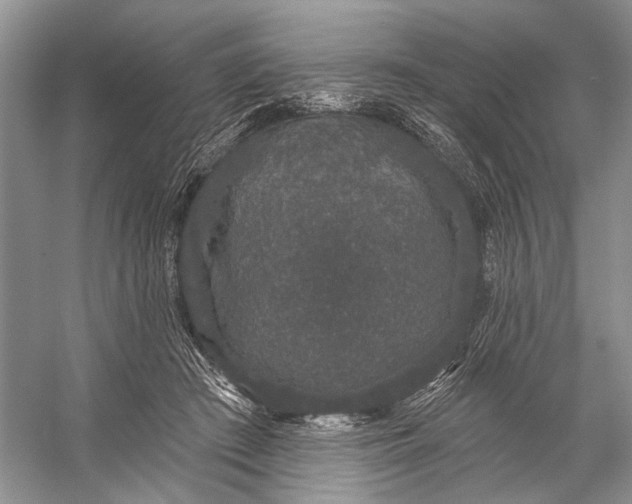 X0000056350409200509161807