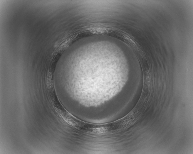 X0000056350411200509161807