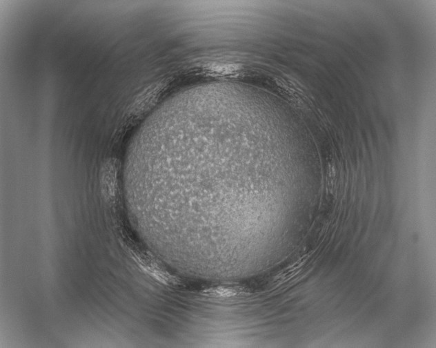 X0000056350412200509161807