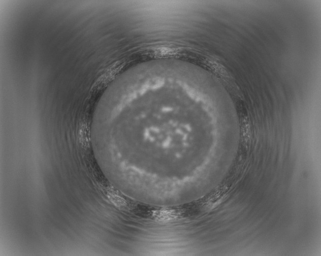 X0000056350419200509161807