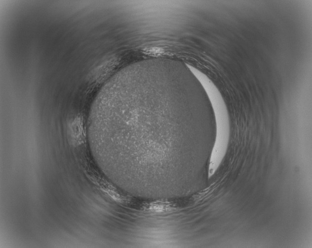 X0000056350420200509161807