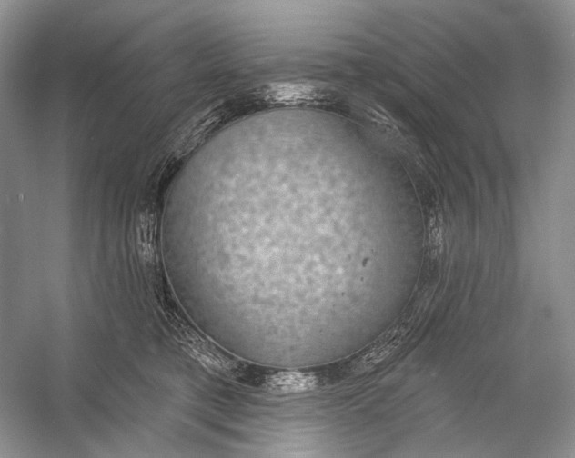 X0000056350421200509161807