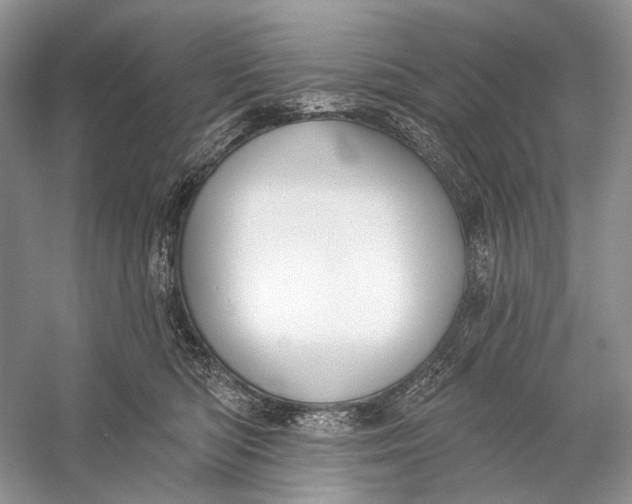 X0000056350422200509161807