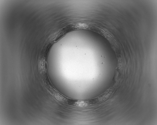 X0000056350425200509161807