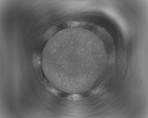 X0000056350431200509161807