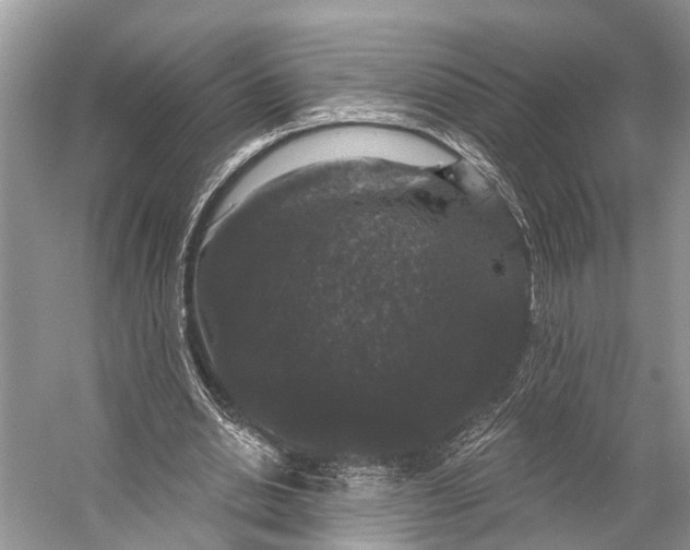 X0000056350438200509161806