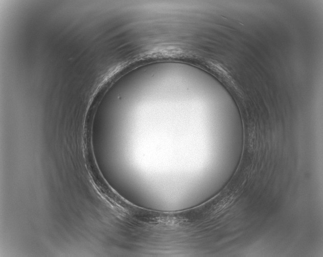 X0000056350439200509161806