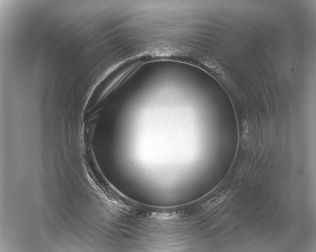 X0000056350440200509161806