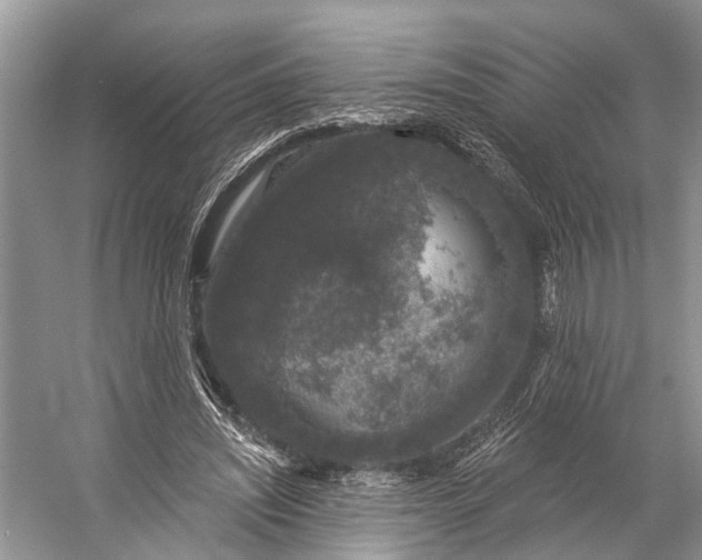 X0000056350444200509161806