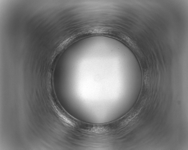 X0000056350445200509161806