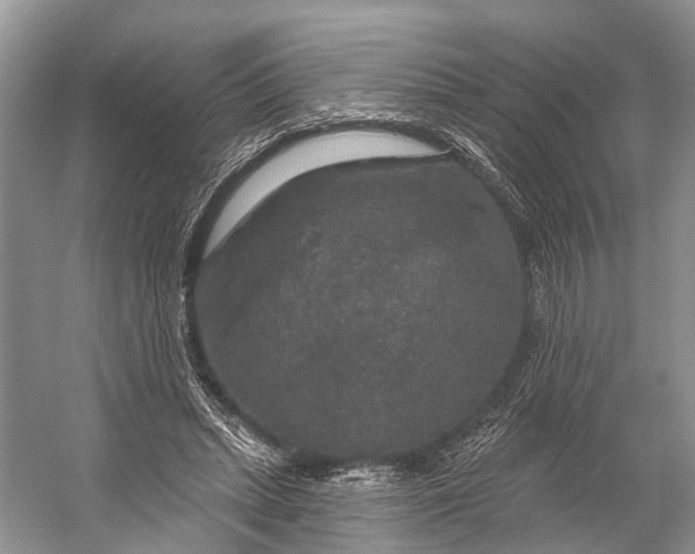 X0000056350447200509161806