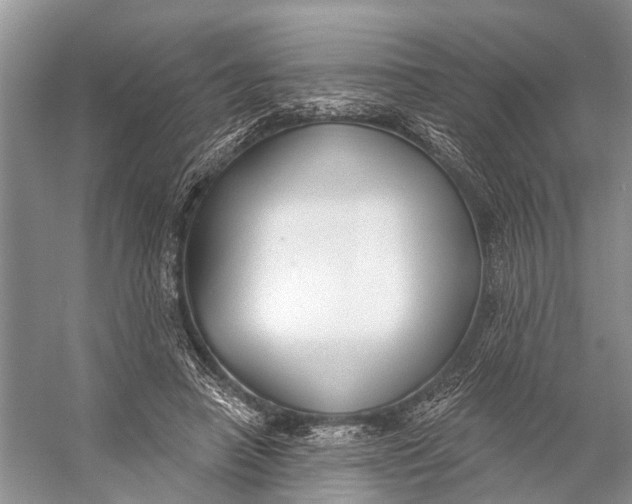 X0000056350450200509161806