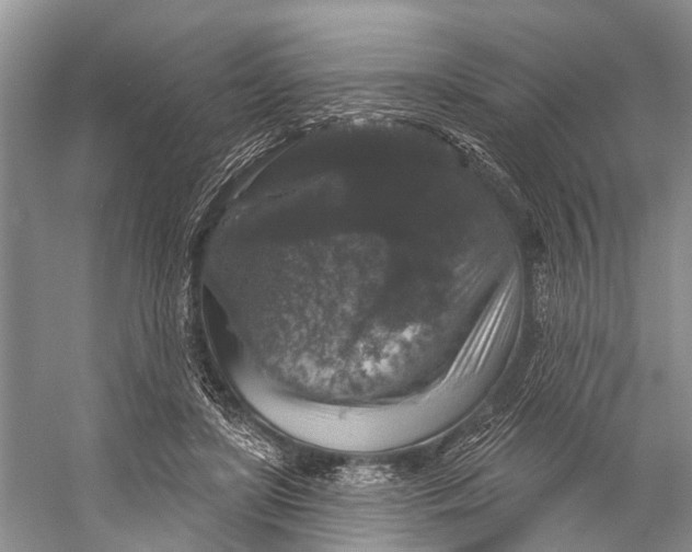 X0000056350451200509161806