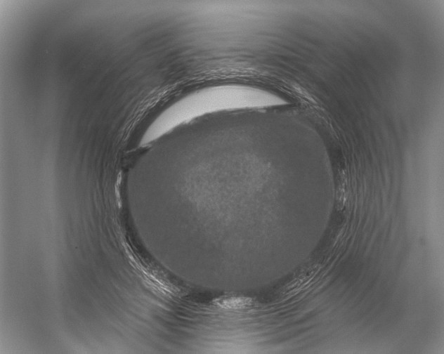 X0000056350452200509161806