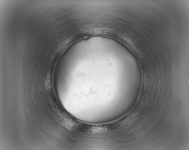 X0000056350453200509161806