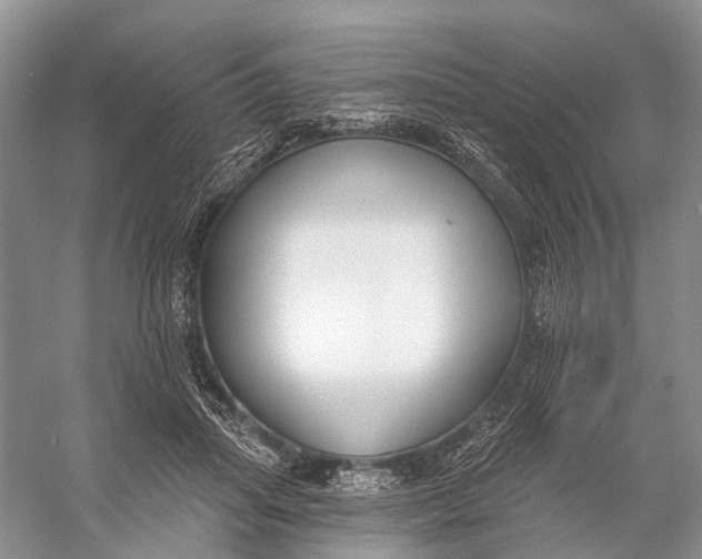 X0000056350455200509161806