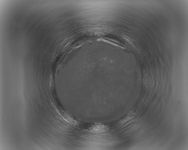 X0000056350459200509161806