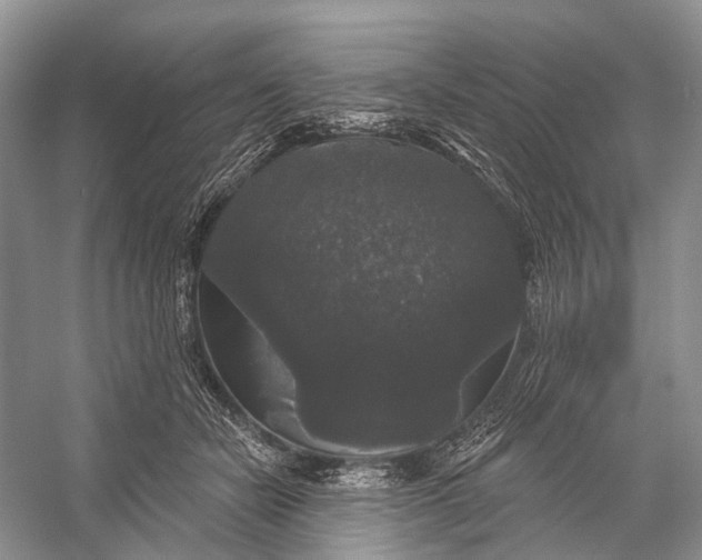 X0000056350462200509161806