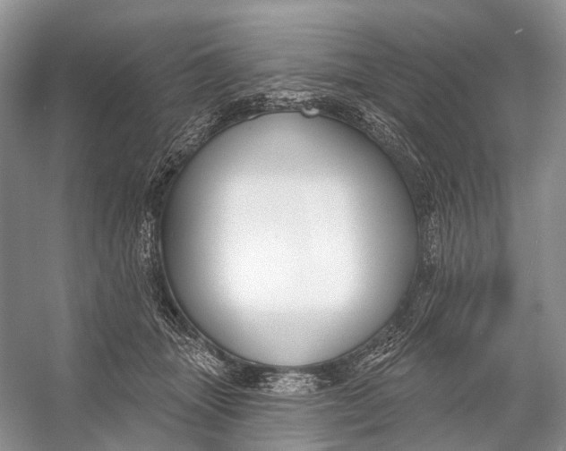 X0000056350463200509161806