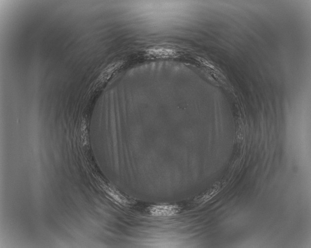 X0000056350465200509161806