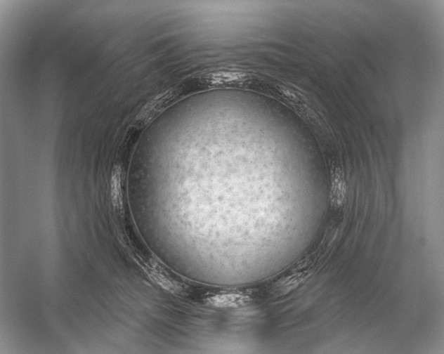 X0000056350468200509161806