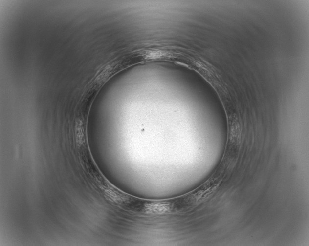 X0000056350469200509161806