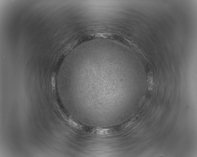 X0000056350472200509161806