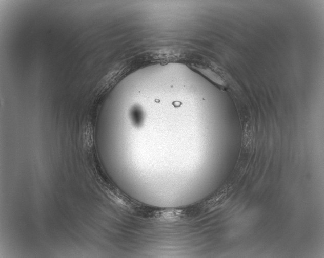 X0000056350474200509161806