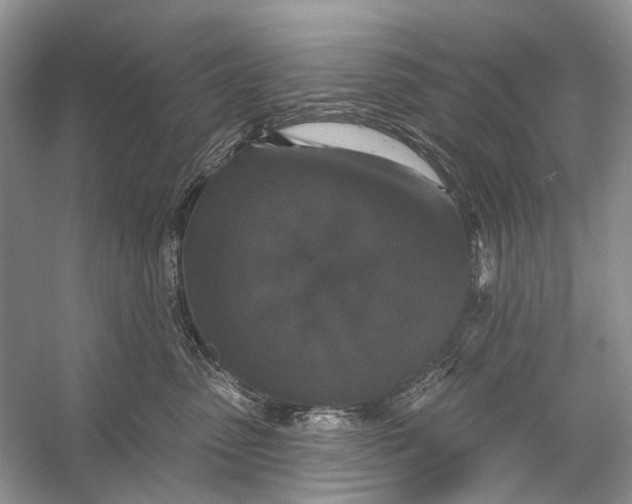 X0000056350475200509161806