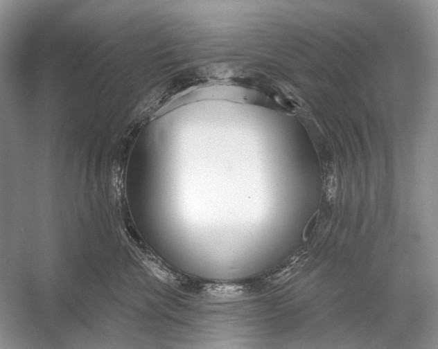 X0000056350476200509161807