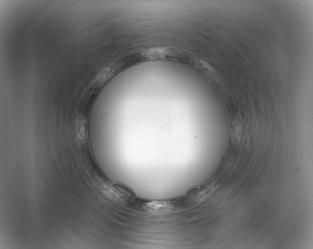 X0000056350477200509161807