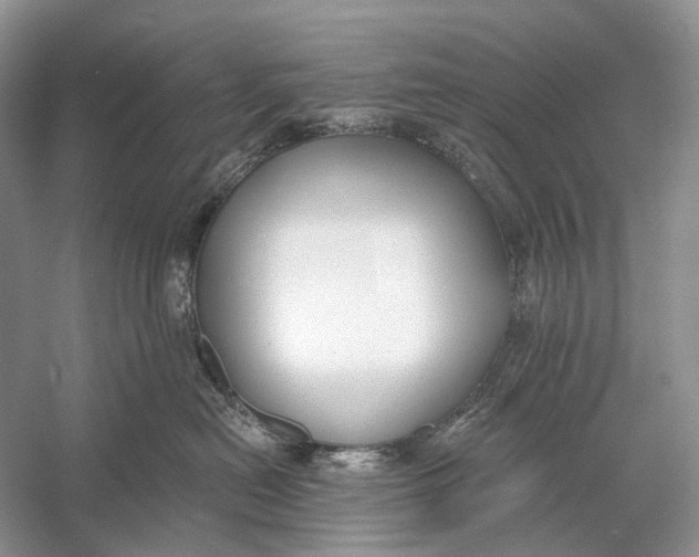 X0000056350478200509161807