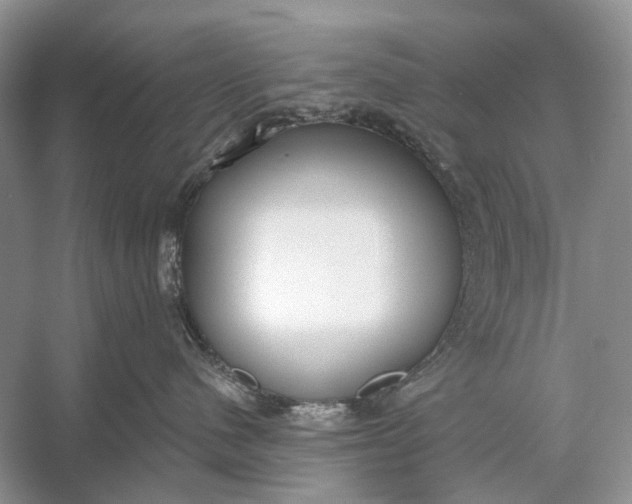 X0000056350480200509161807