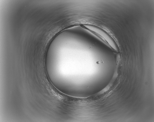 X0000056350481200509161806