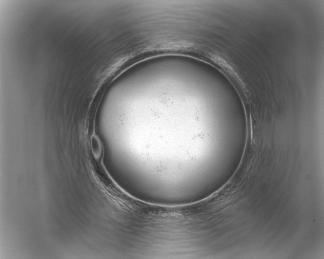 X0000056350483200509161806