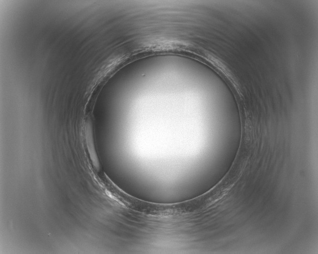 X0000056350485200509161806