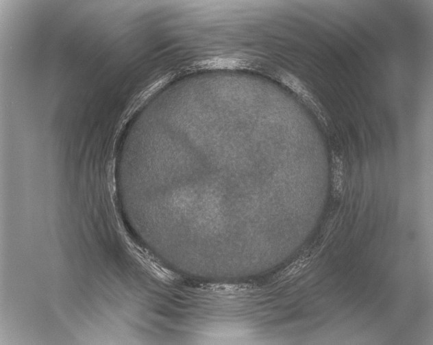 X0000056350486200509161806