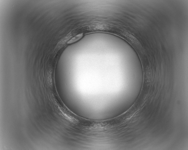 X0000056350489200509161806