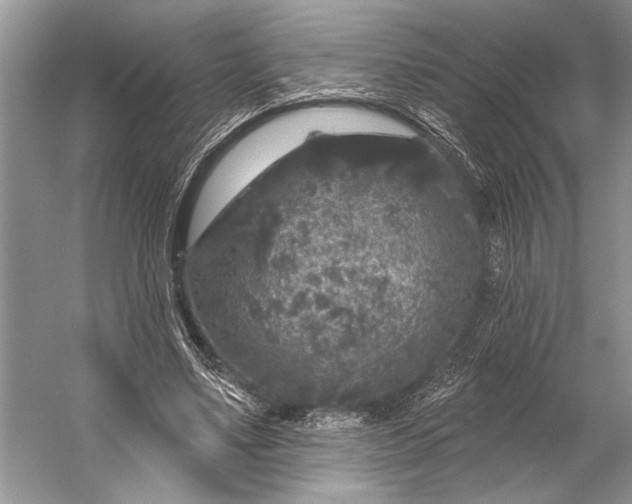 X0000056350491200509161806