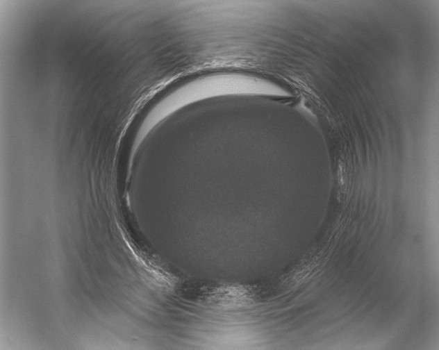 X0000056350492200509161806