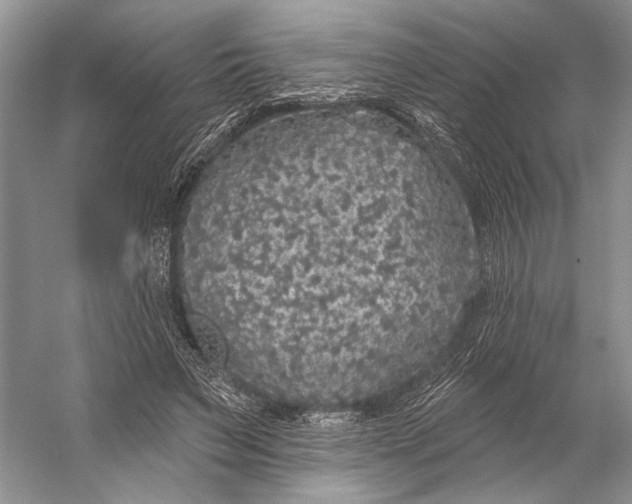 X0000056350495200509161806