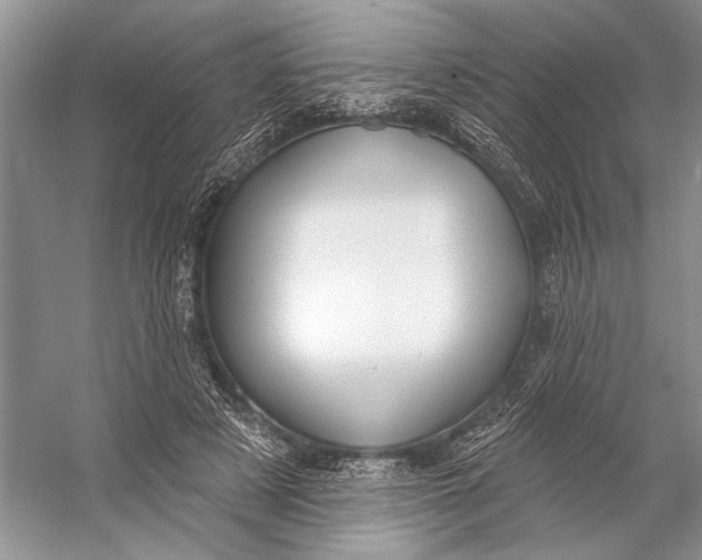 X0000056350497200509161805