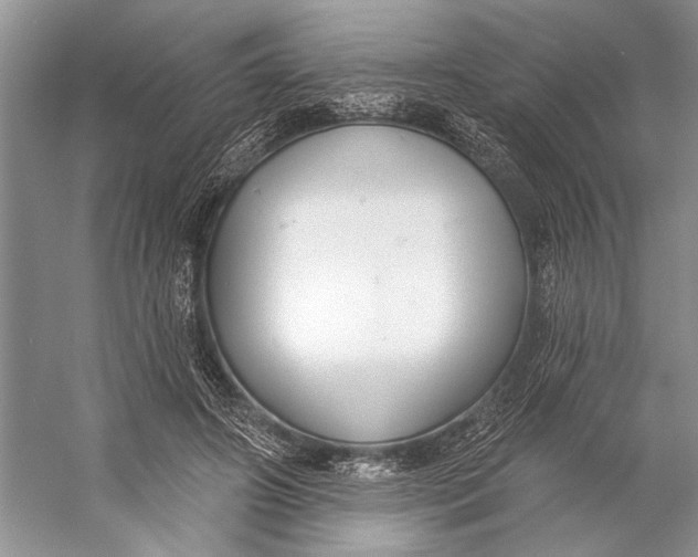 X0000056350498200509161805