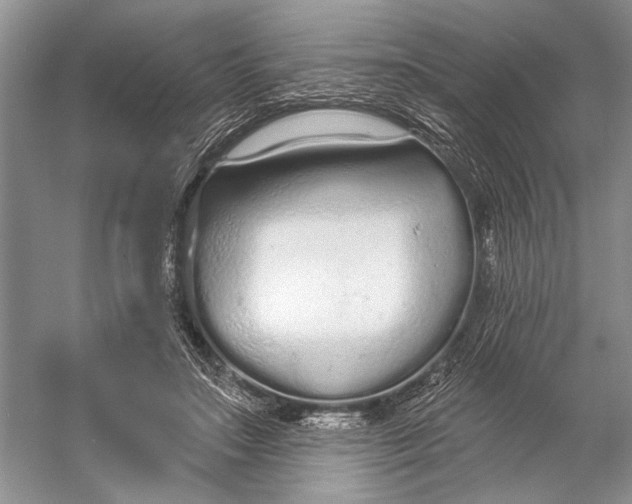 X0000056350499200509161805