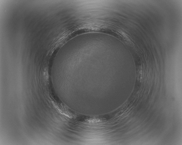 X0000056350500200509161805