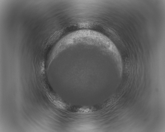 X0000056350502200509161805