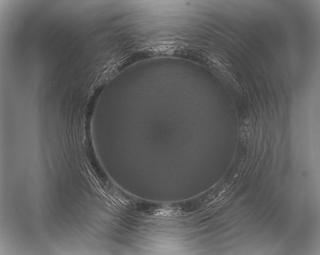 X0000056350504200509161805