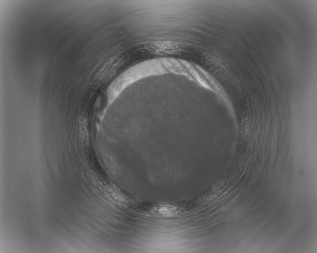 X0000056350506200509161805