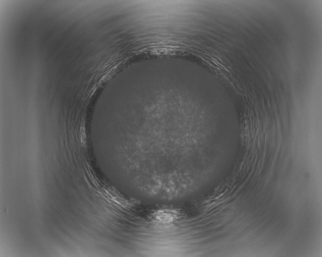 X0000056350508200509161805