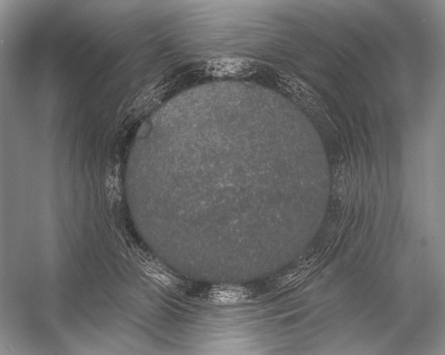 X0000056350510200509161805